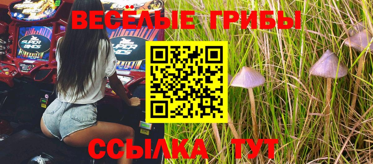 Ростов-на-Дону  Галлюциногенные грибы ЛСД  Вход с VPN  Галлюциногенные грибы Cubensis 
